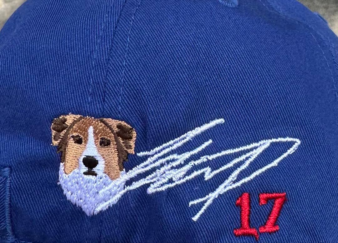0*c様 ★大谷翔平　キャップ(ブルー) デコピン刺繍付き