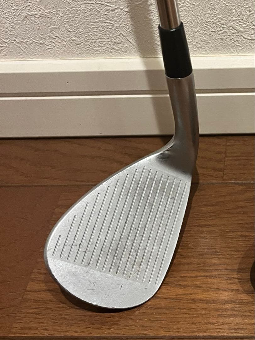 ドルフィンウェッジ DW-120G N.S.PRO950GH neo 50 S