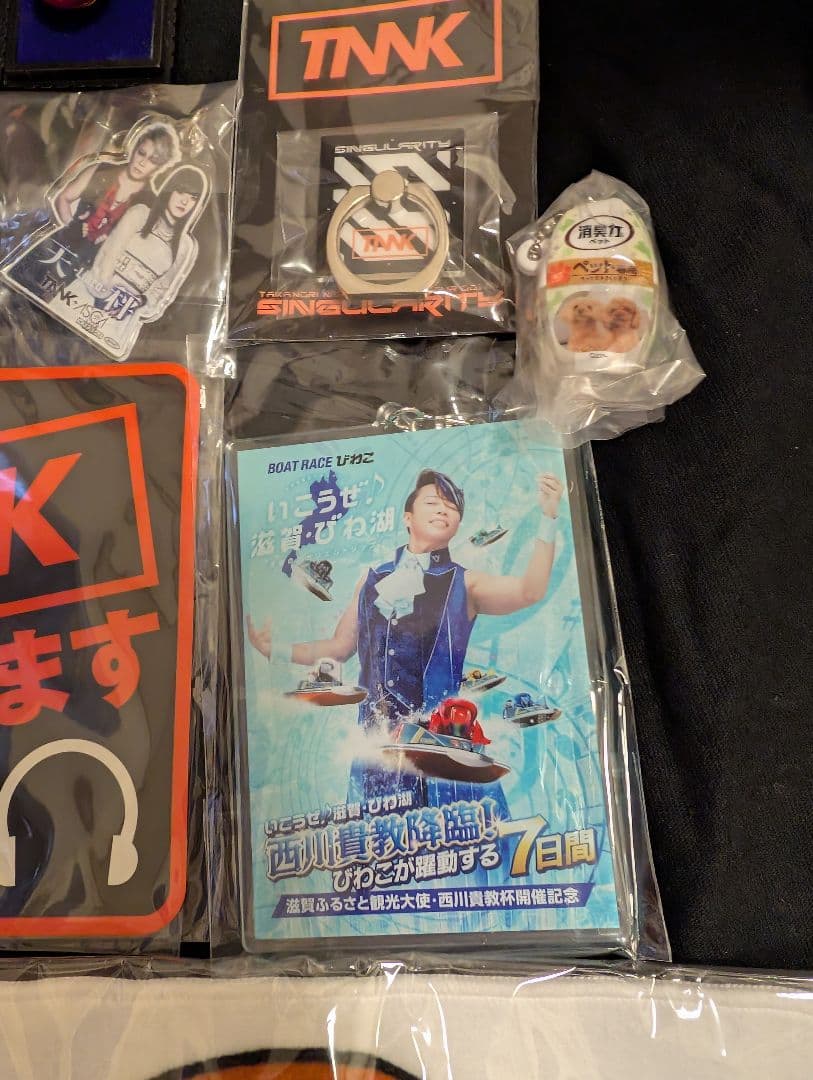 西川貴教 グッズ(11点) 党員バッジ他