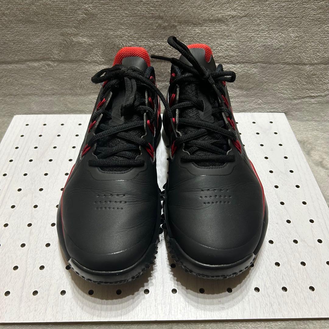 NIKE TW14 タイガーウッズモデル 25cm 3E ゴルフスパイク 黒