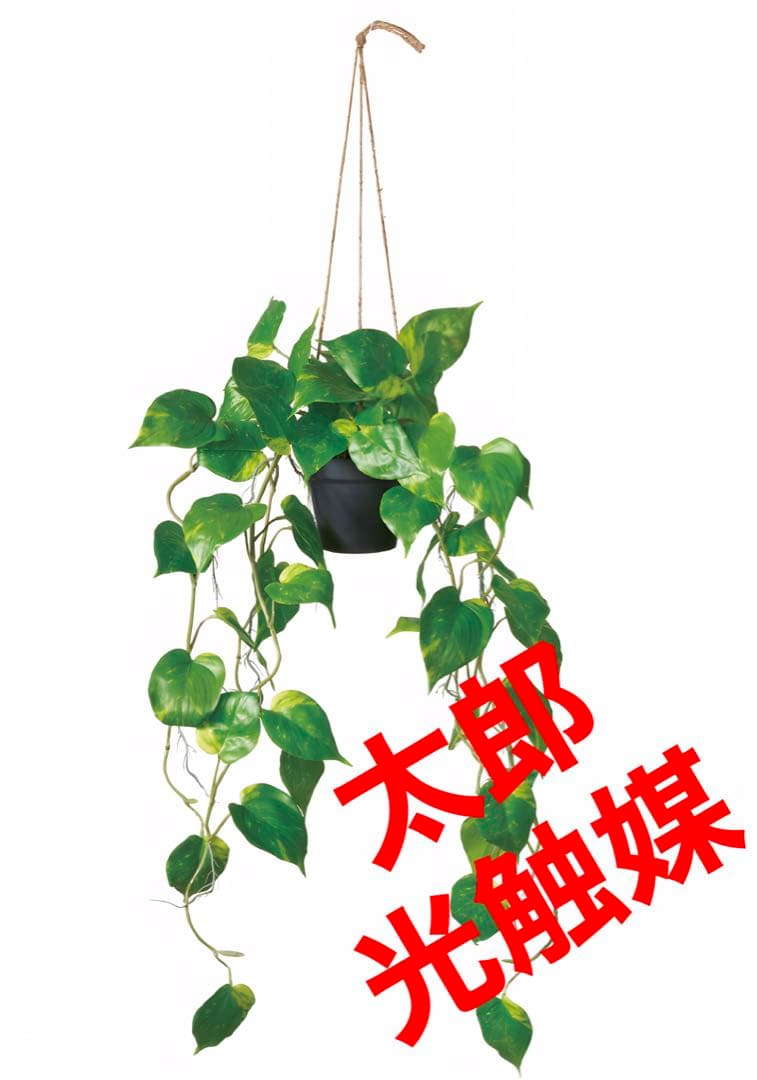 光触媒　人工観葉植物　ウォールグリーン　フェイクグリーン　ポトスハンギング