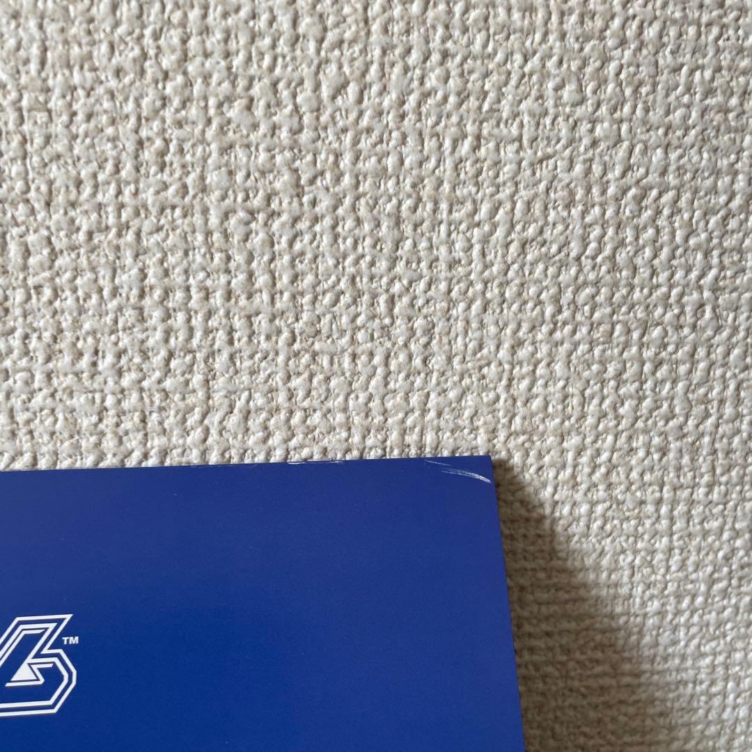 ビクティニBWR