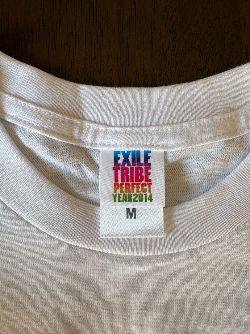 EXILETRIBE 直筆サイン入りTシャツTOWER OF WISH 2014