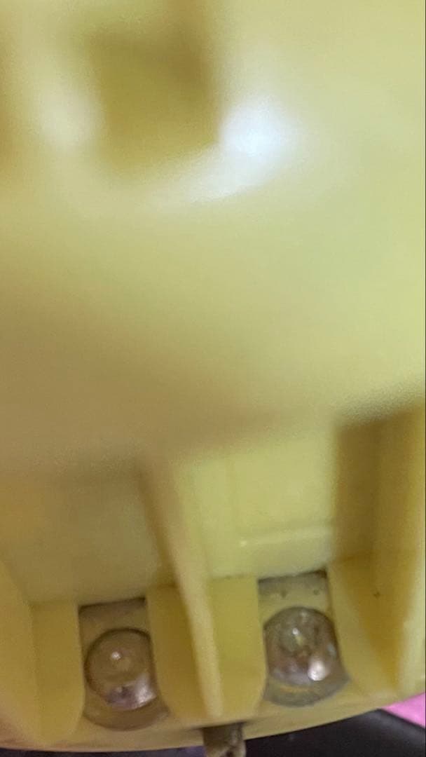 たまごっち id 説明欄 必読
