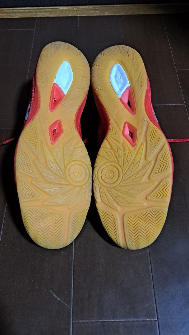 ASICS DESTAQUE FF フットサルシューズ 室内用 28.5cm