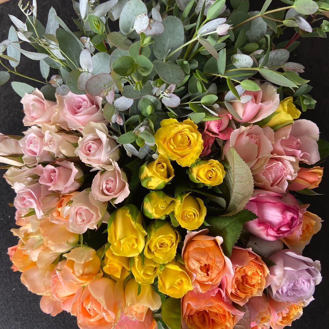 鮮度抜群❗️バラ 《切り花 ・生花 》ユーカリおまかせMIX 30㎝SM 50本