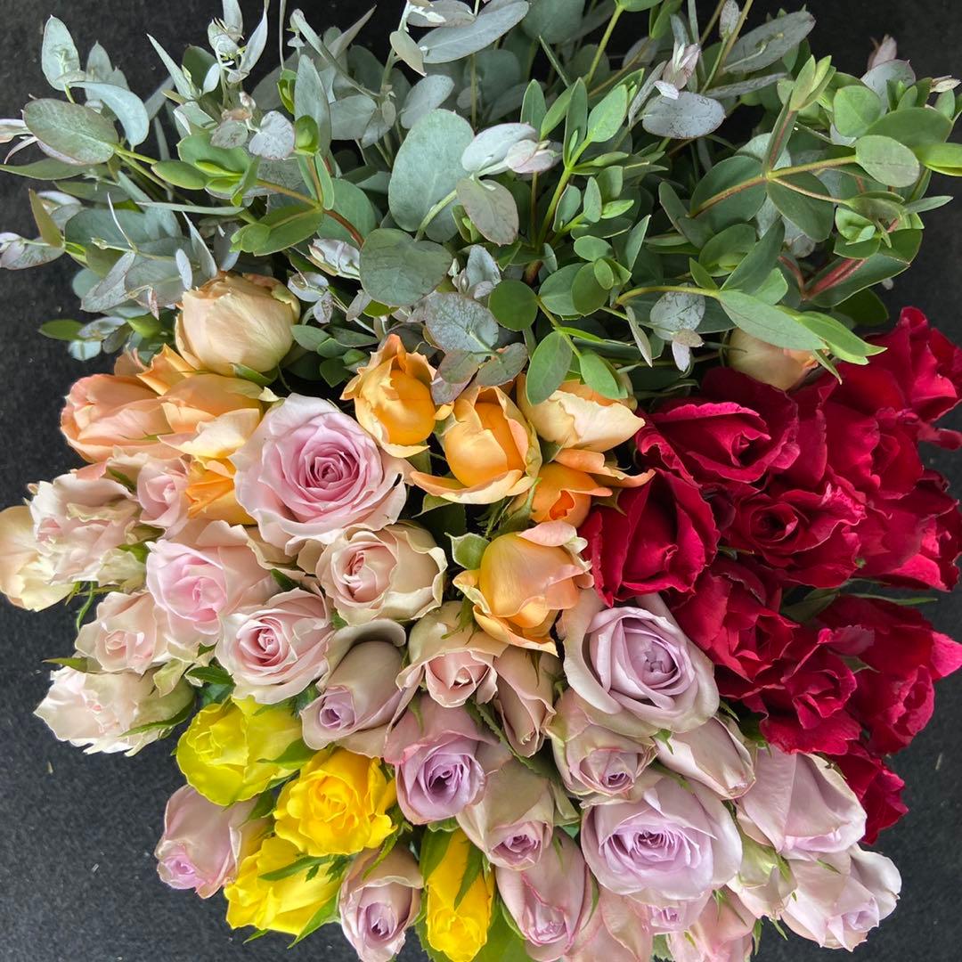 鮮度抜群❗️バラ 《切り花 ・生花 》ユーカリおまかせMIX 30㎝SM 50本