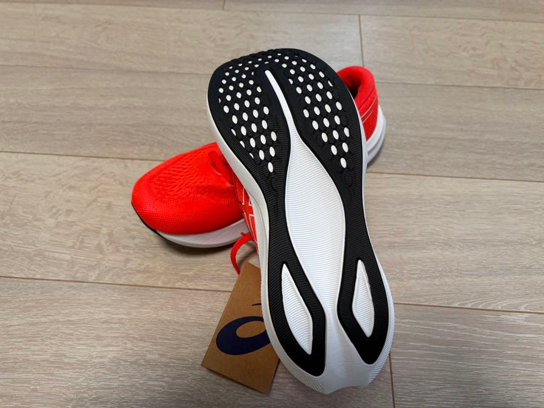 スパイク・シューズ ASICS EvoRide Speed 3 25.0cm