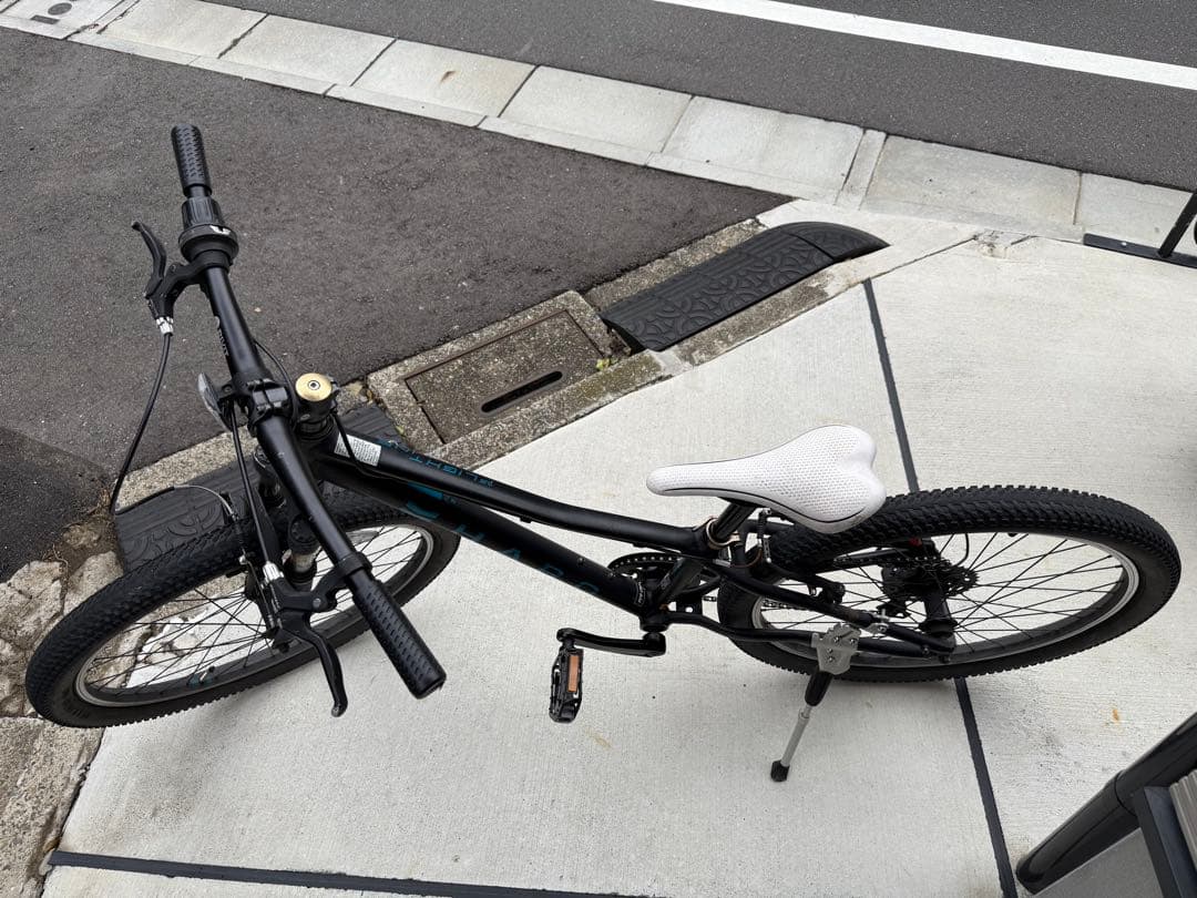 HARO FLIGHT LINE 24インチ マウンテンバイク キッズ 自転車