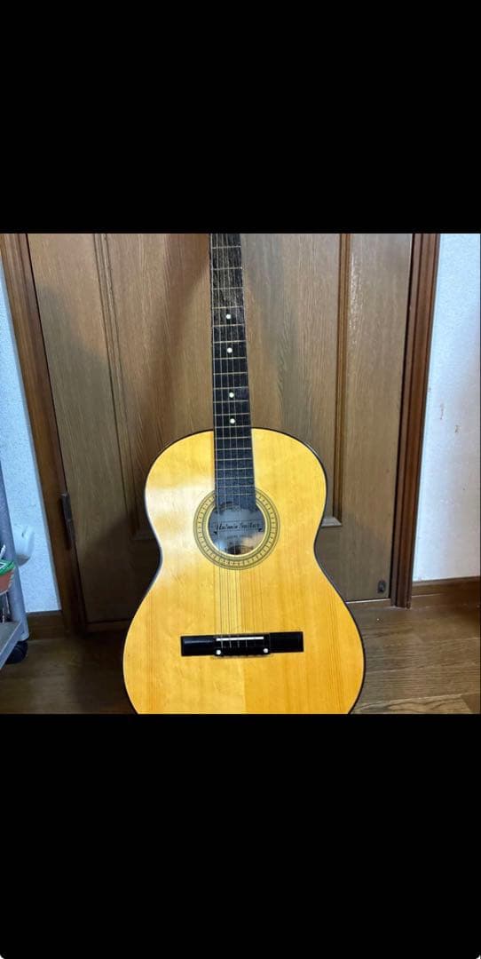 らっき組電子ギターとAntonio Guitarra No. S5ギター
