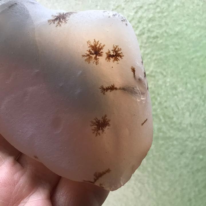 ゴビ石−872 ゴビ瑪瑙　原石 デンドリティックアゲート 鑑賞石