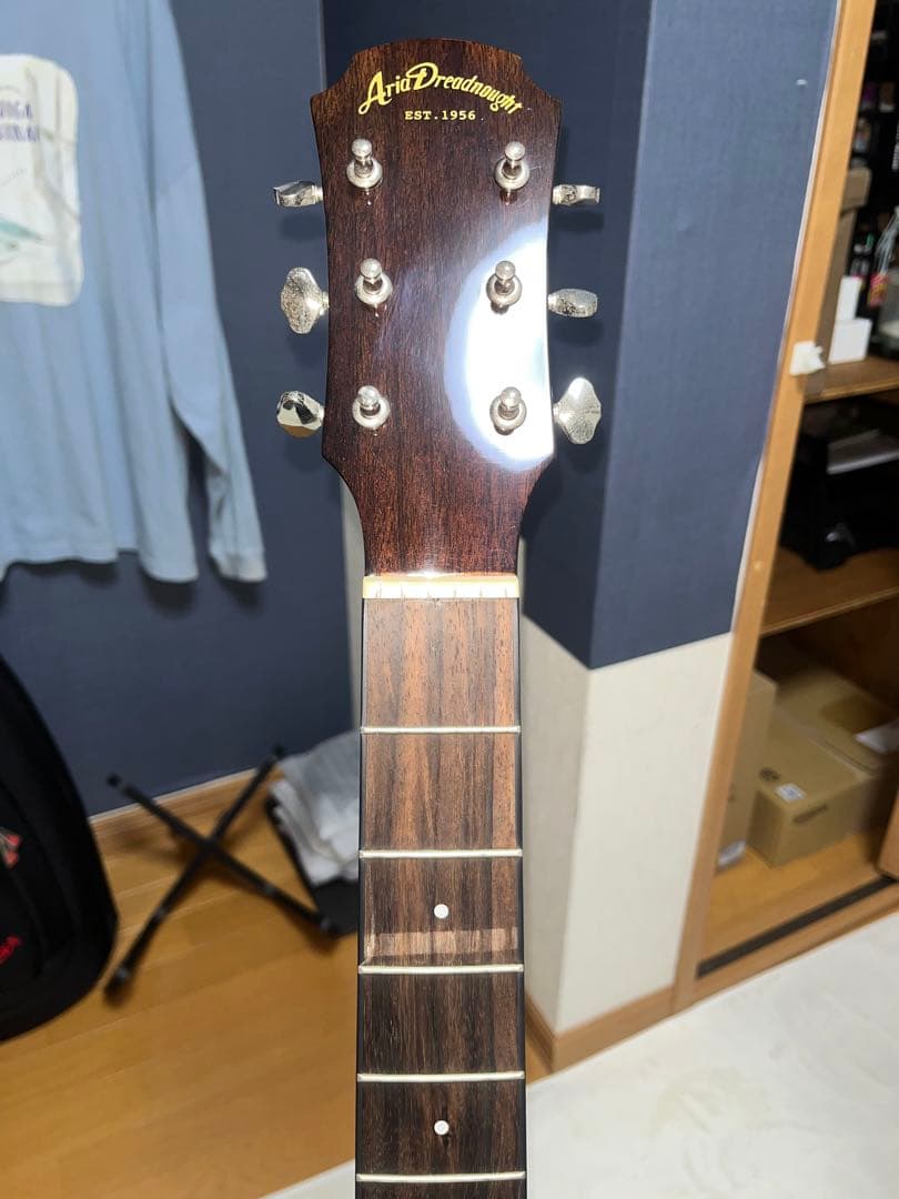 アコギ　Ariadreadnought AF107