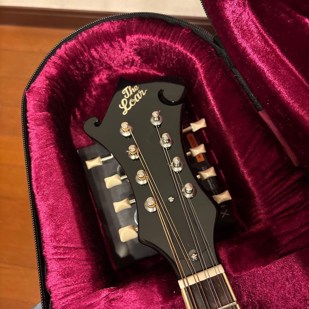 LOAR LM-520-VS フラットマンドリン