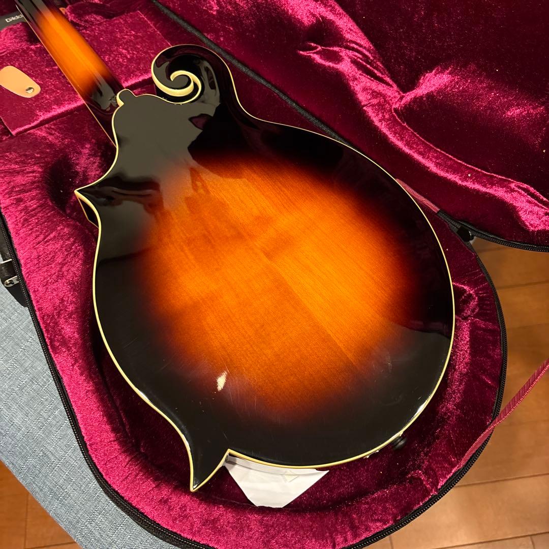 LOAR LM-520-VS フラットマンドリン