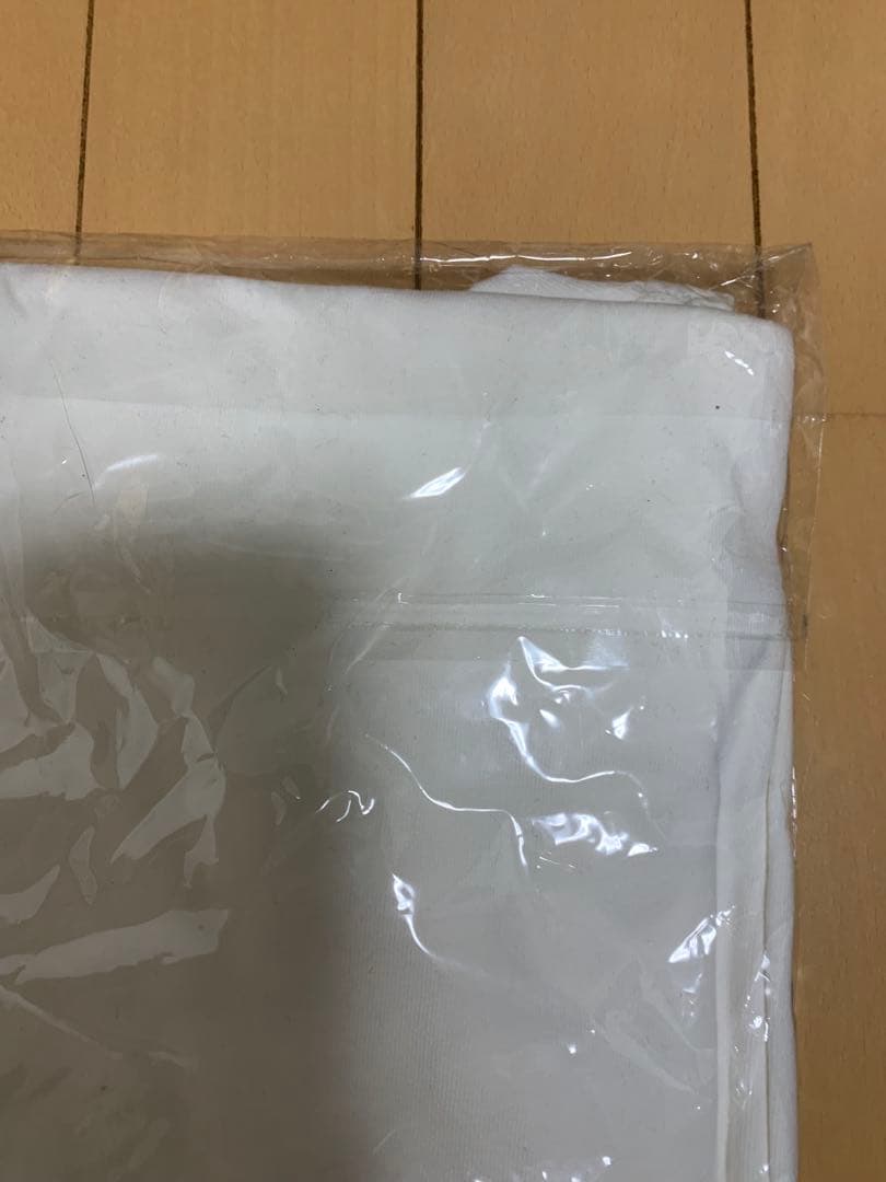 新品未開封　真天地開闢集団ジグザグ　参拝装束〈定番〉（ロングTシャツ）白