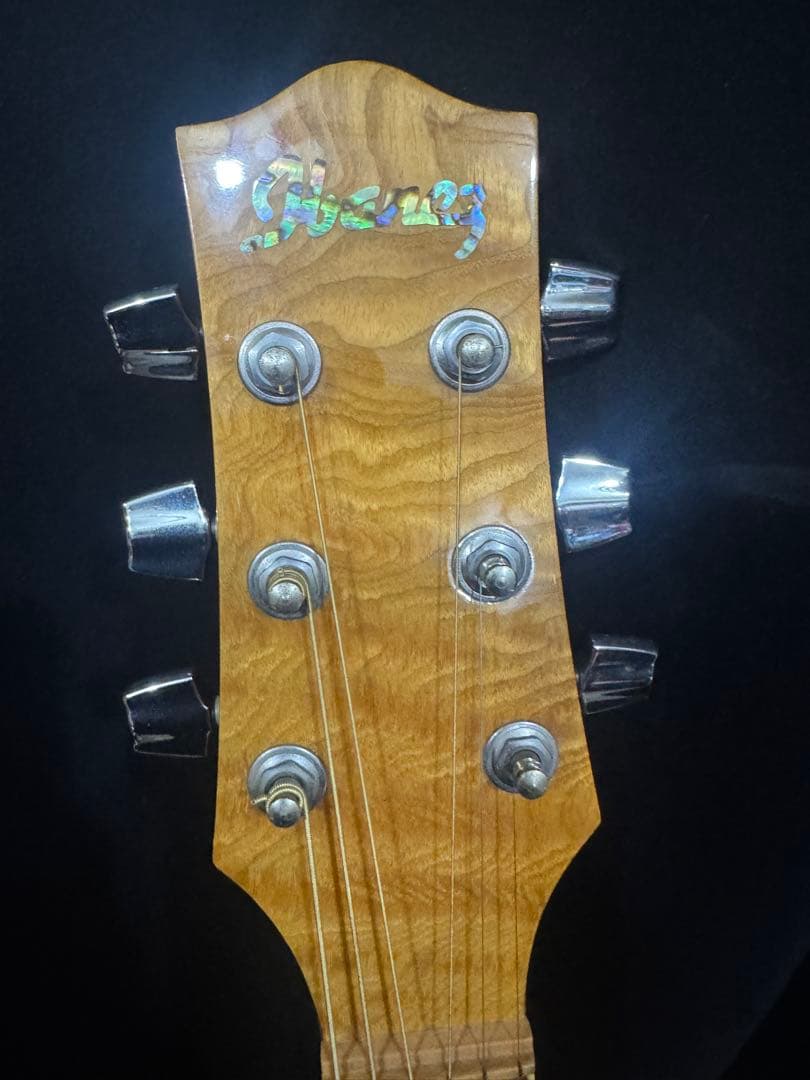 ibanez EW20ASENT1202 エレアコ ソフトケース付き