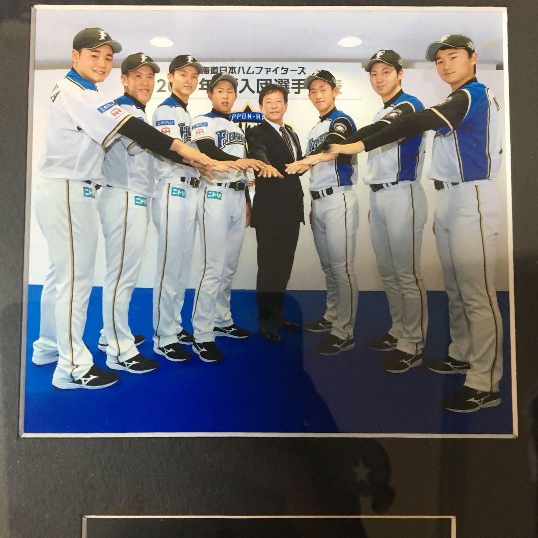 北海道日本ハムファイターズ 2017 新入団選手フォトパネル