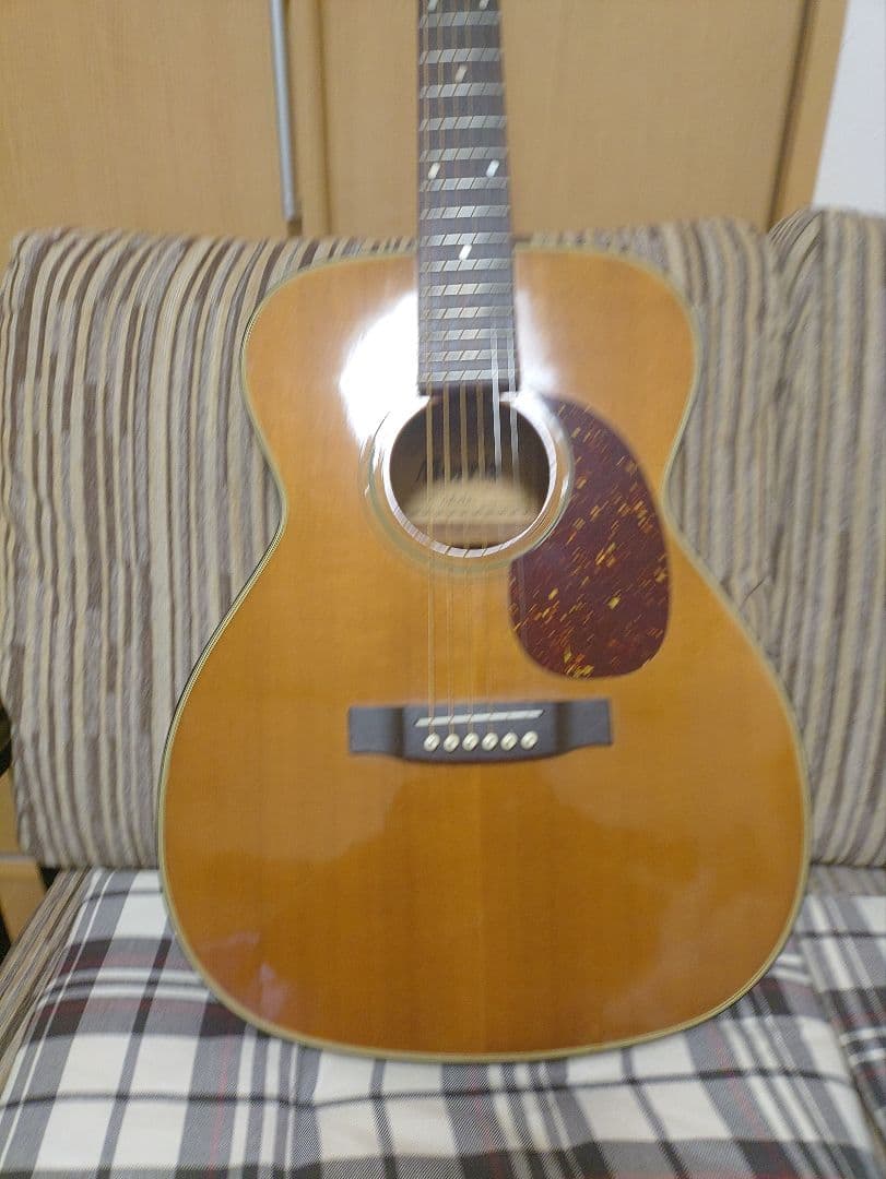 Morris F10 アコースティックギター