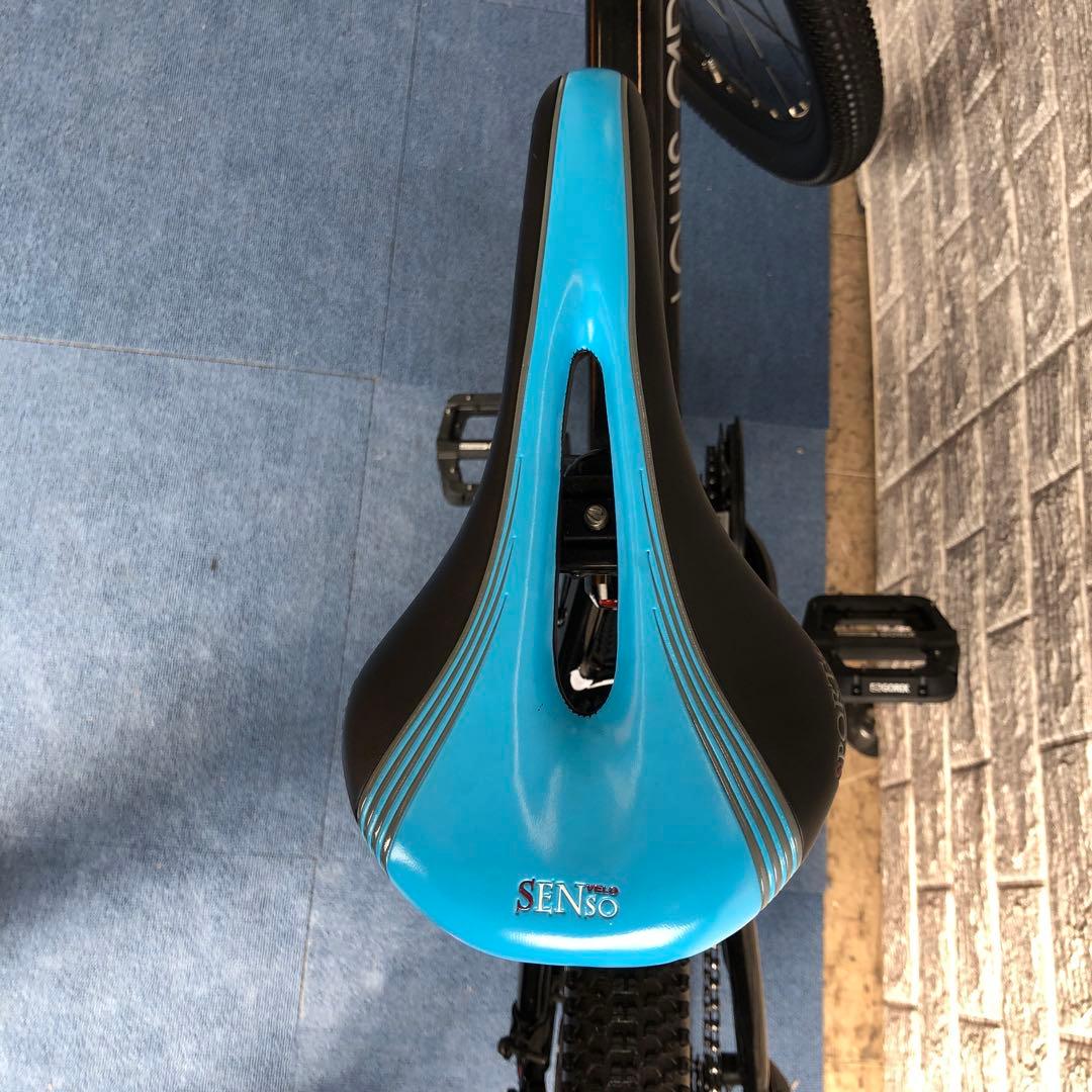 【配送は要相談】【美品】LOUIS GARNEAU ルイガノ マウンテンバイク