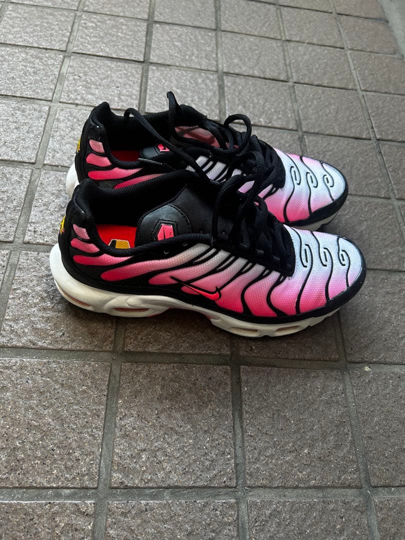 Nike Air Max Plus ピンク/黒 マップラ 25cm