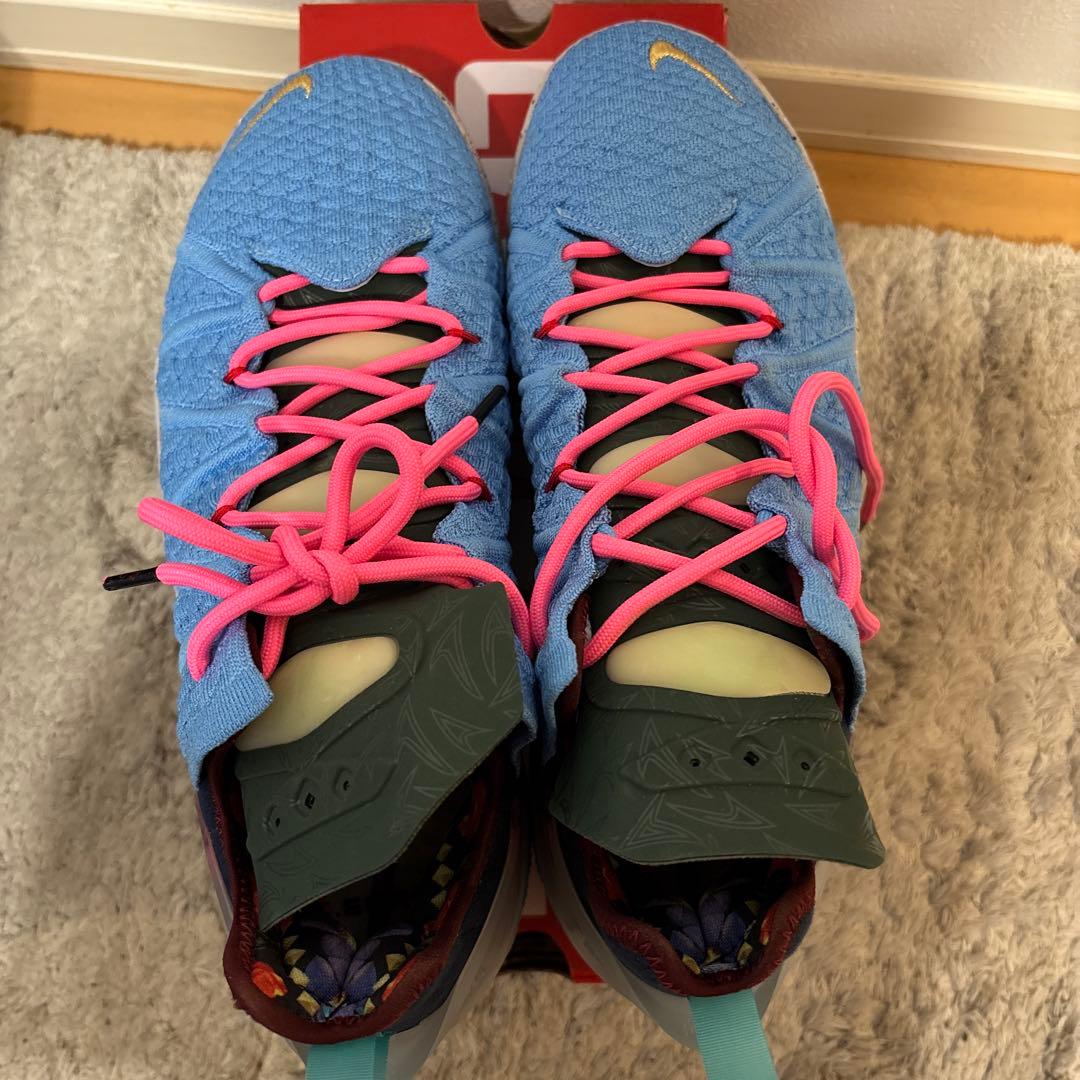 シューズ(男性用) NIKE LEBRON XVIII \"WHAT THE\"