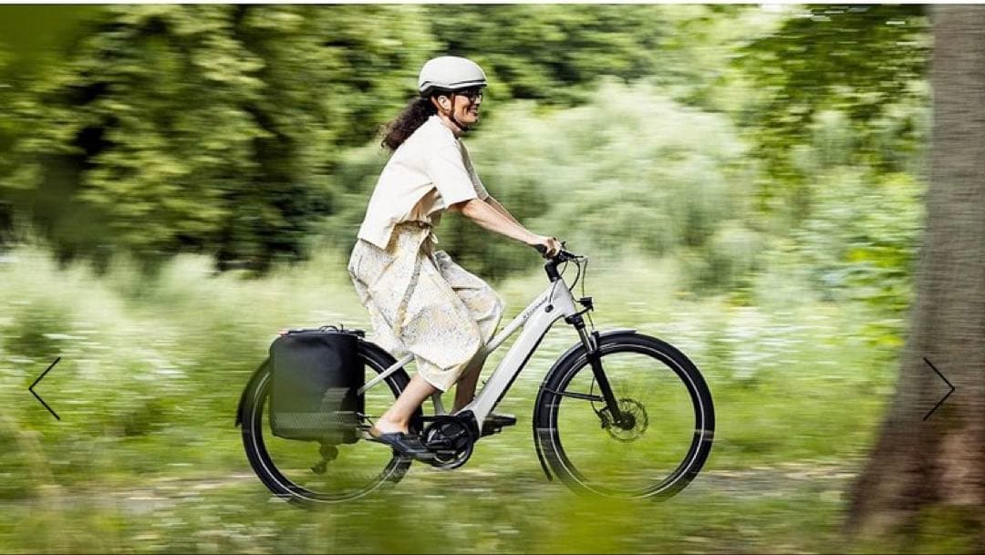 SPECIALIZED スペシャライズド サイドバック右　TAILWIND