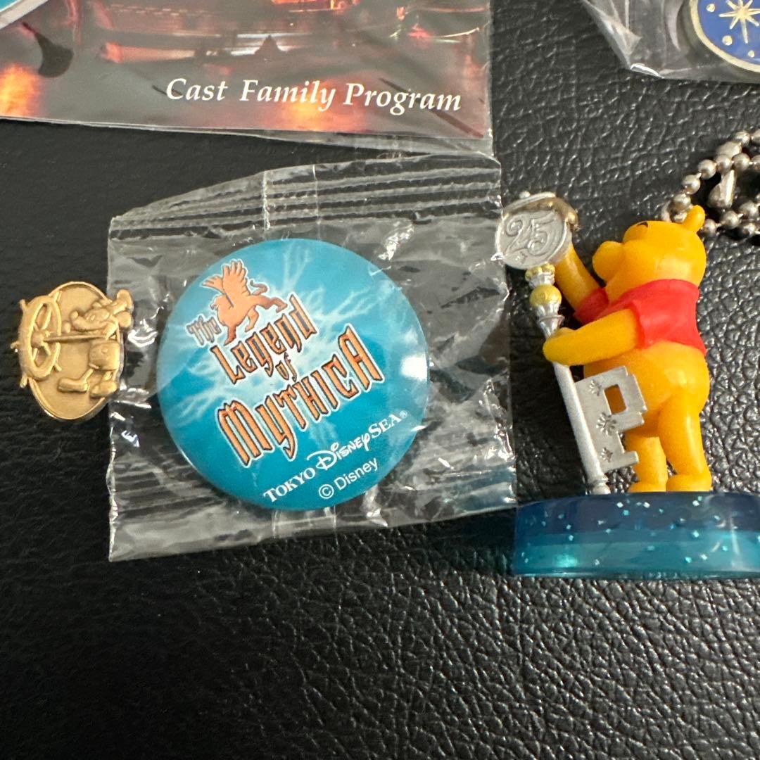 東京ディズニーリゾート 25周年 キャストファミリープログラム グッズセット