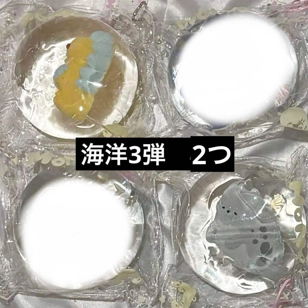 momo モモ 海洋3弾 4個セット スクイーズ