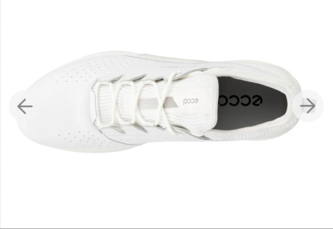 ecco バイオム C4 BIOM