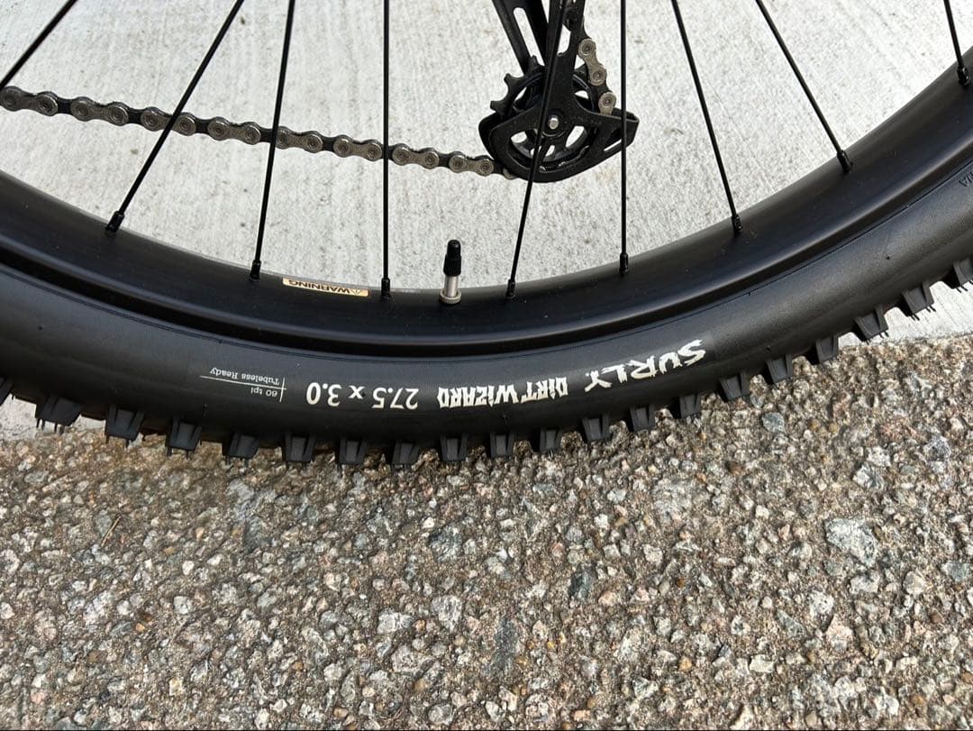 自転車本体 KARATE MONKEY