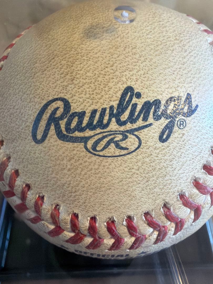 超貴重 MLB公式球デビッド・オルティス引退年通算513号サヨナラ打球