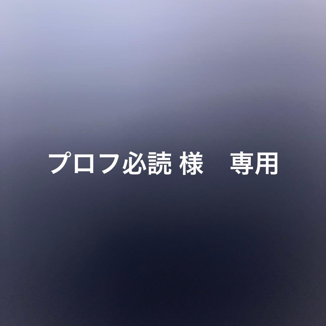 プロフ必読 　Biwakoキーホルダー　青