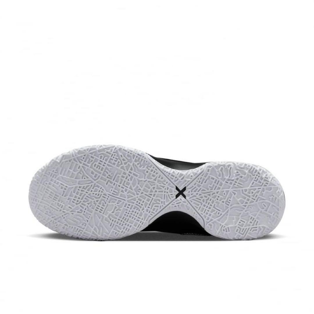 シューズ(男性用) NIKE ZOOM LEBRON NXXT GEN EP DR8788 003