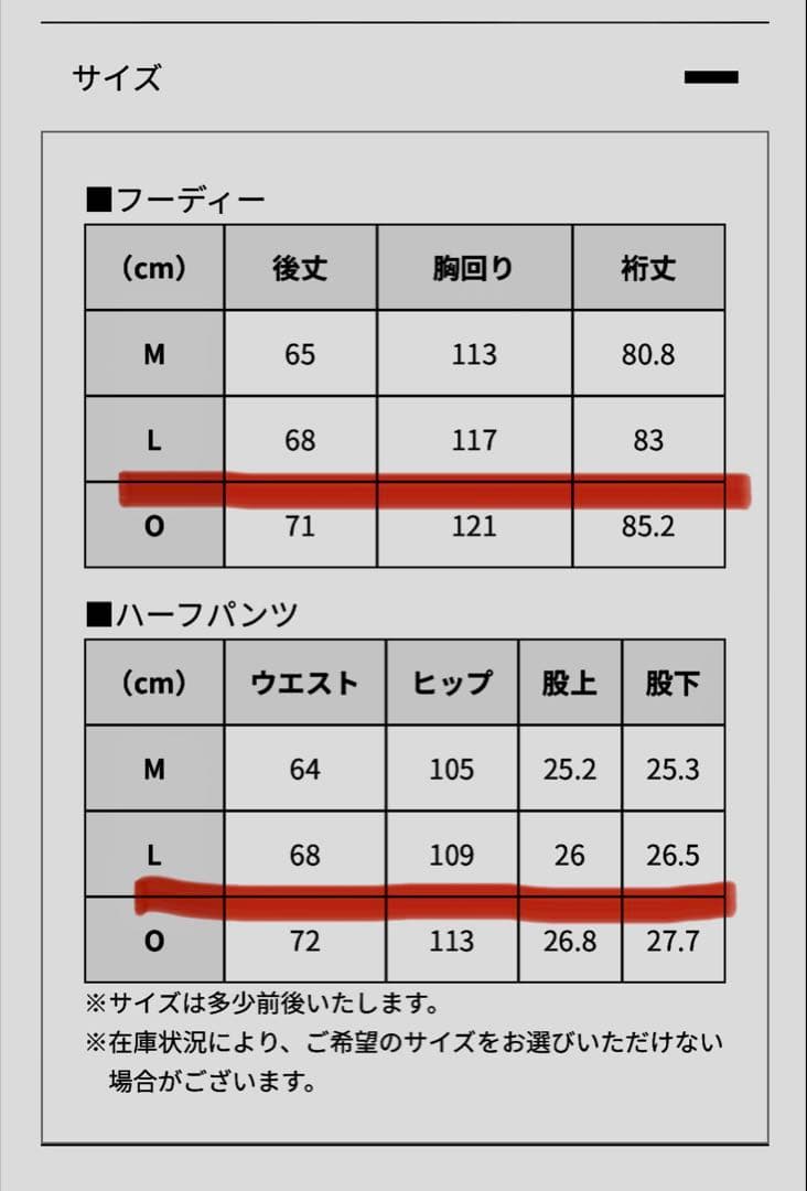 楽天イーグルス　ファンクラブ２０２６　ミズノ製フーディーセットアップＬサイズ