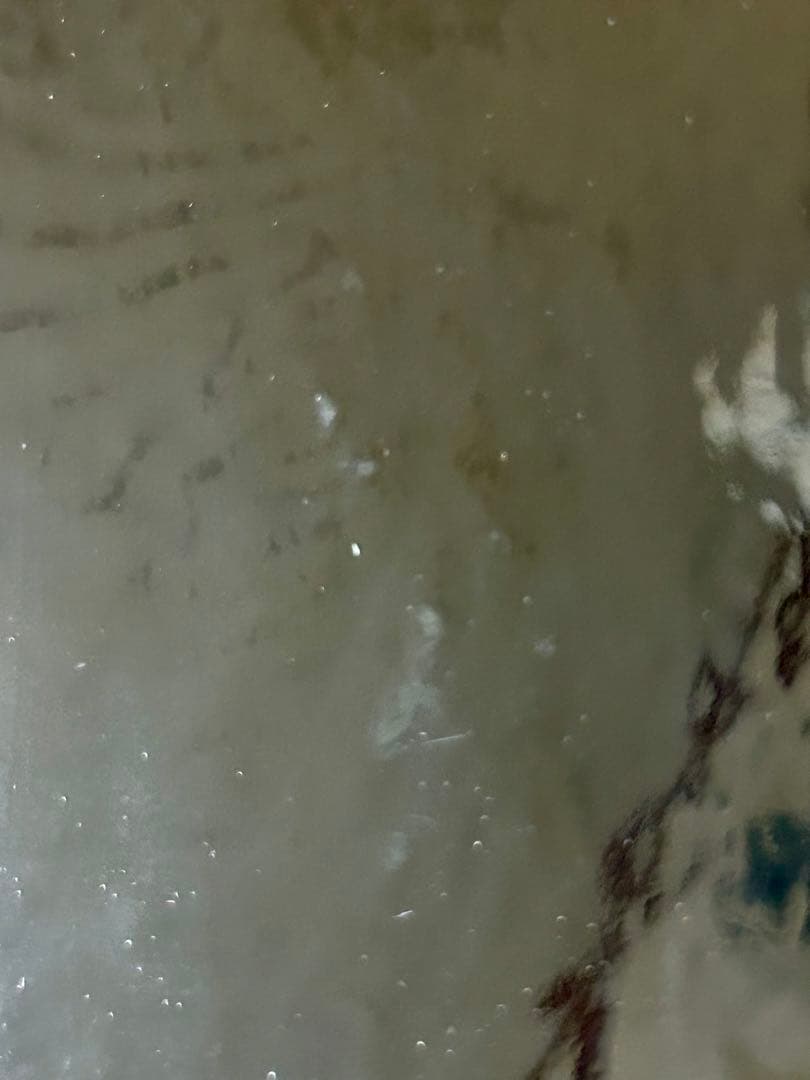 七宝焼皿　菖蒲