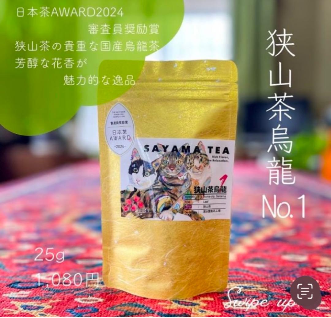 猫　インテリア　メインクーン　アクリル画　キャンバスF3号　BAEZ3