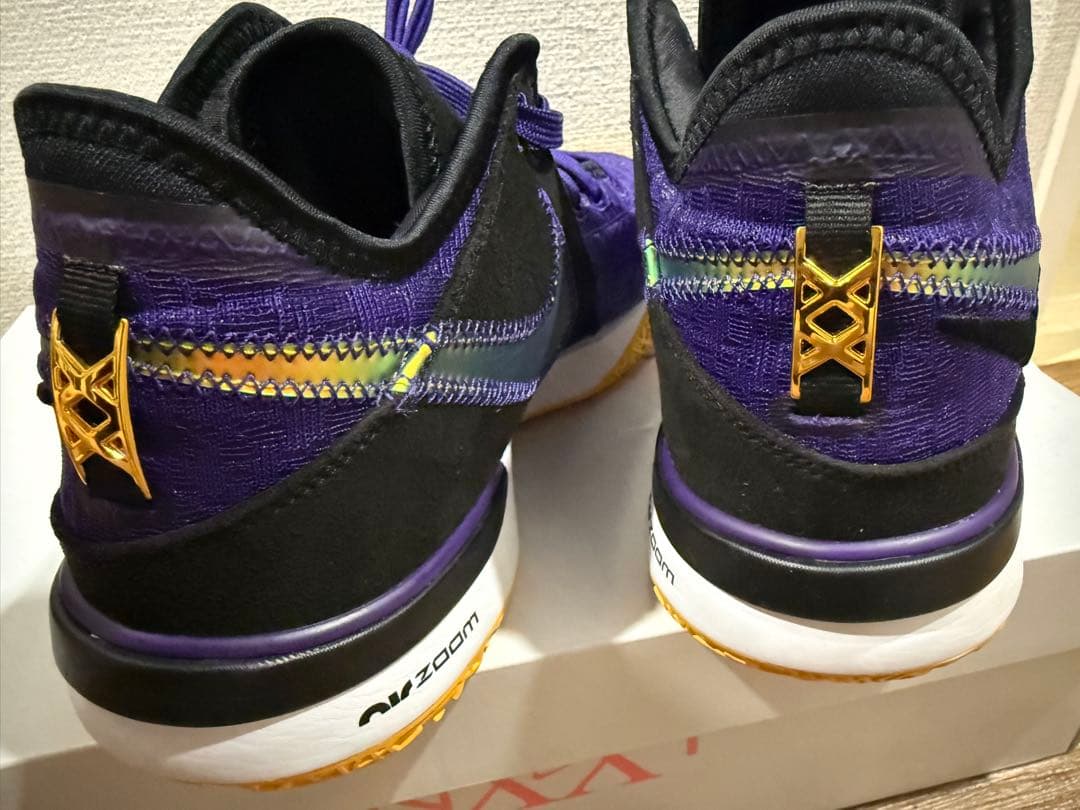 Nike LeBron NXXT Gen バスケットボールシューズ