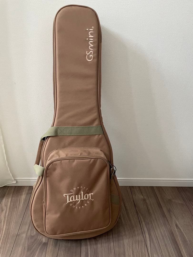 Taylor GS MINI ミニギター。