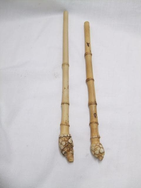 和竿　竹竿素材　根付き淡竹　タナゴ竿用
