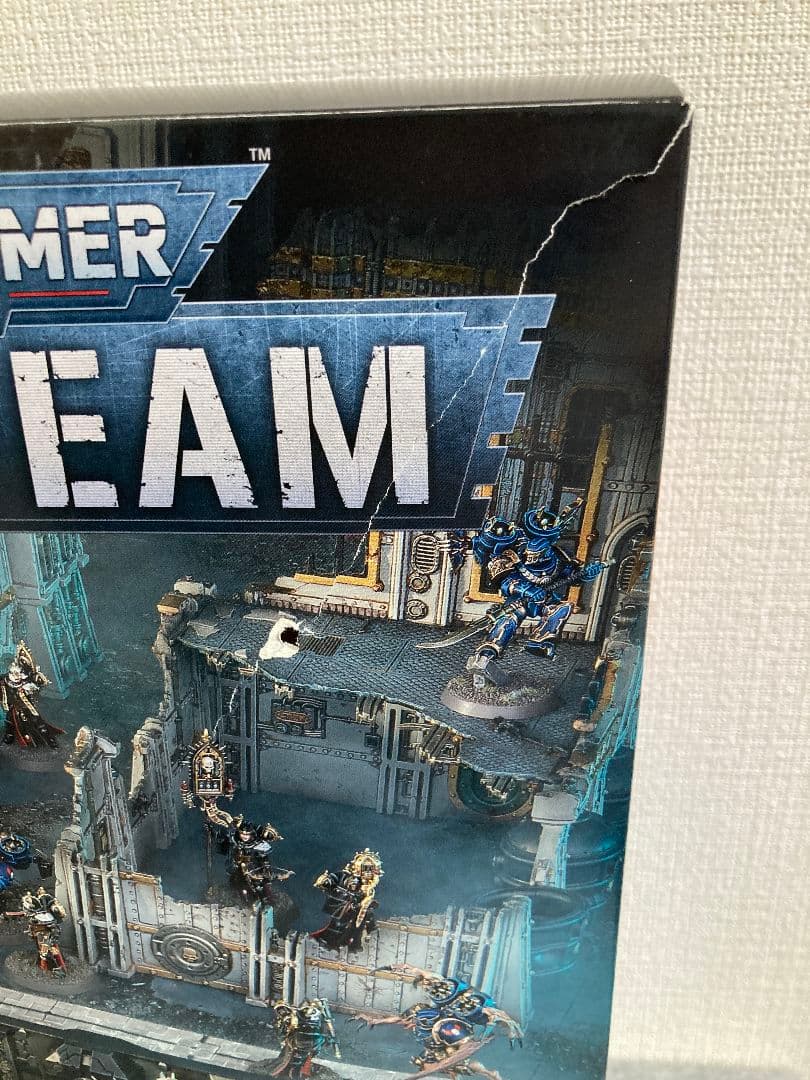 出品説明欄必読 ウォーハンマー40k セレスティアン・インシディアント 10体分