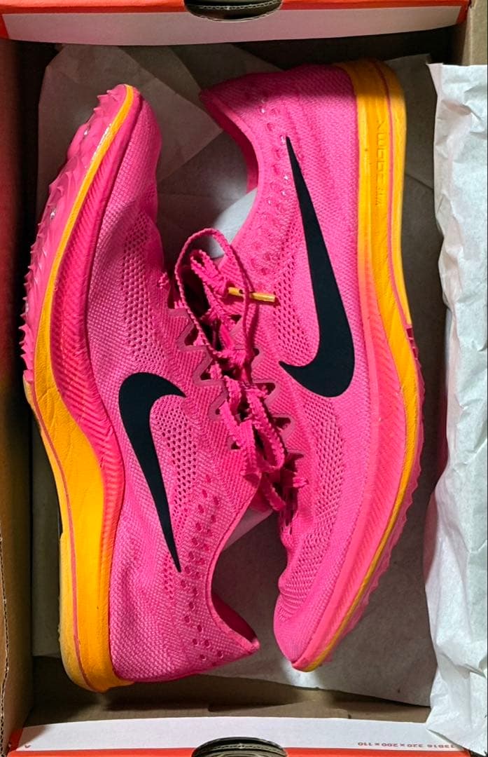 Nike ドラゴンフライ　28cm