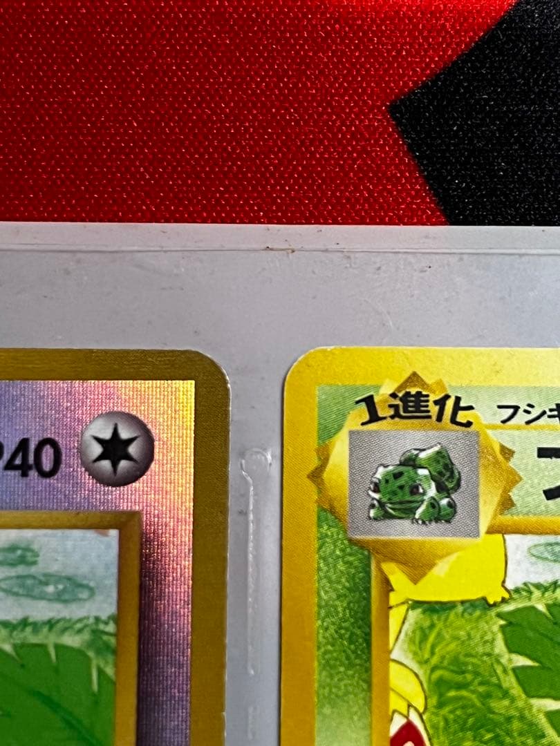 【旧裏】サザンアイランド　レインボーアイランド〜お花畑〜　ポケモンカード