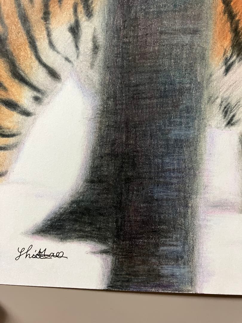 猛虎雪林を抜け 色鉛筆画