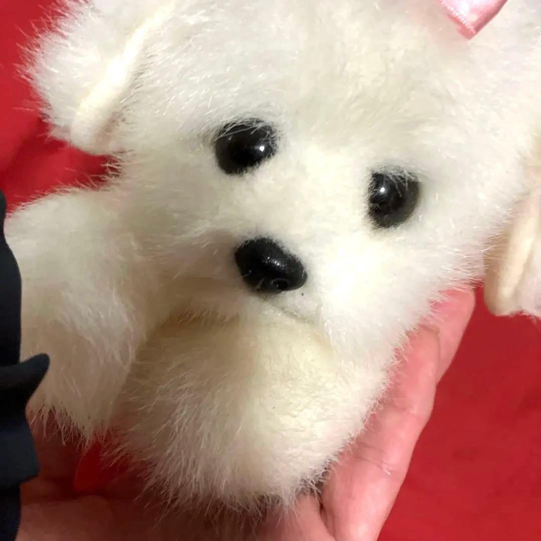 ぬいぐるみ犬　マルチーズ　白い犬　子犬わんちゃん　レトロぬいぐるみ犬　リアル