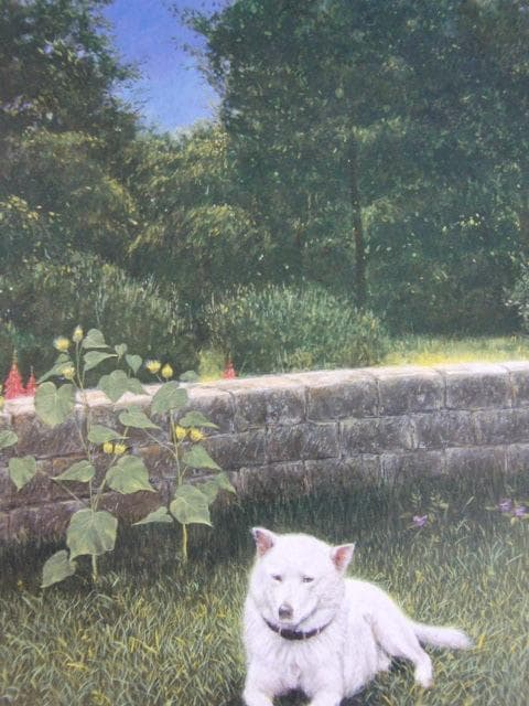 山本貞、【七月の庭】、希少な額装用画集画、新品高級額 額装付、状態良好