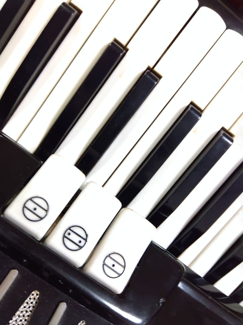 【即演奏可】YAMAHA YA-48アコーディオン独奏用高級モデル整備簡易調律済