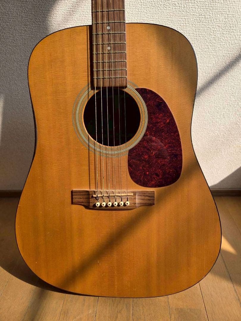 ギター Martin D-1