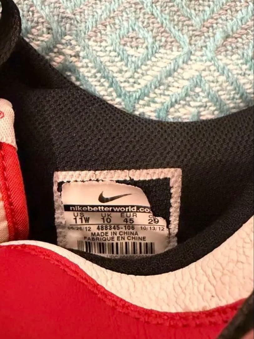 シューズ(男性用) NIKE DUNK Low golf \"chicago\" 29cm