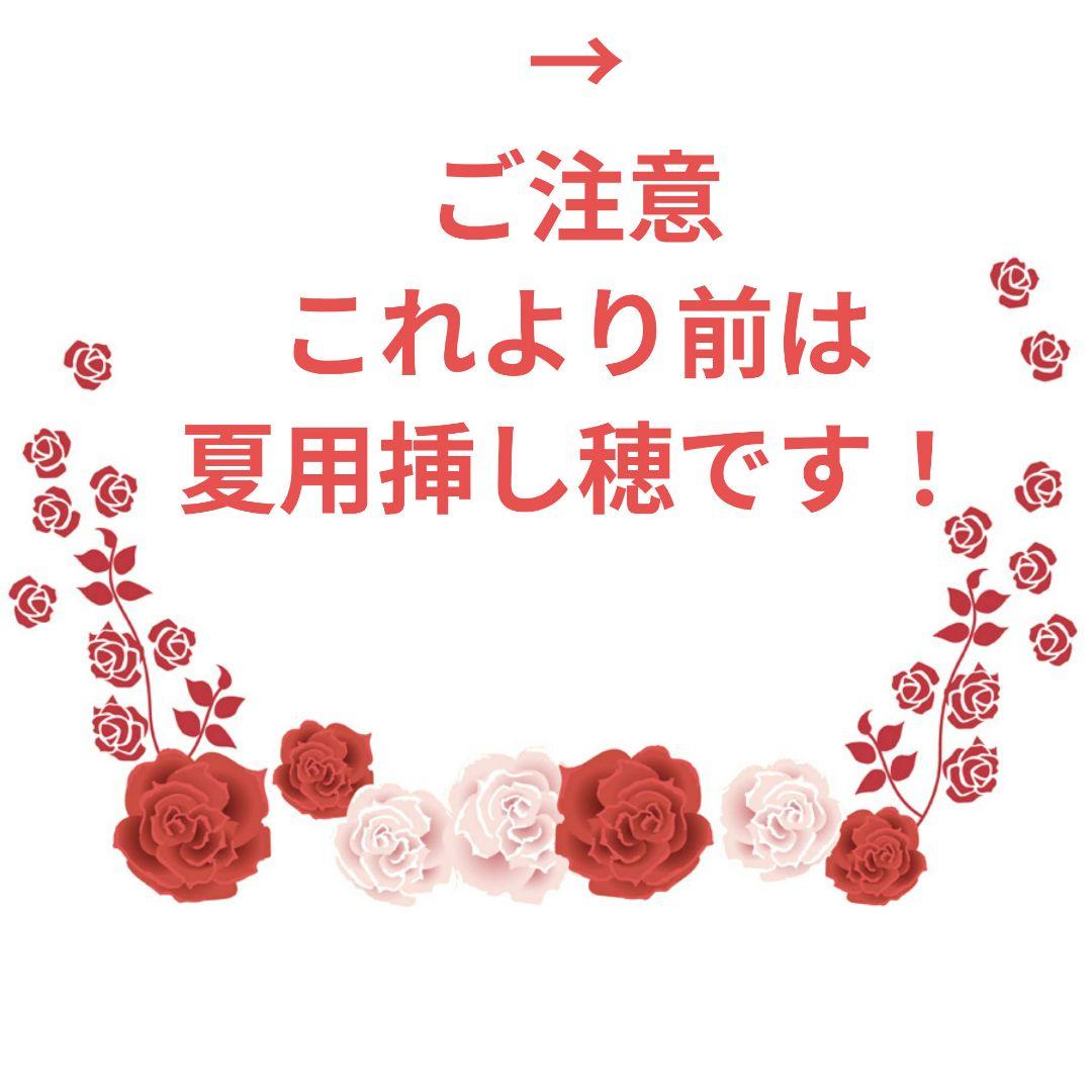 夏用挿し穂