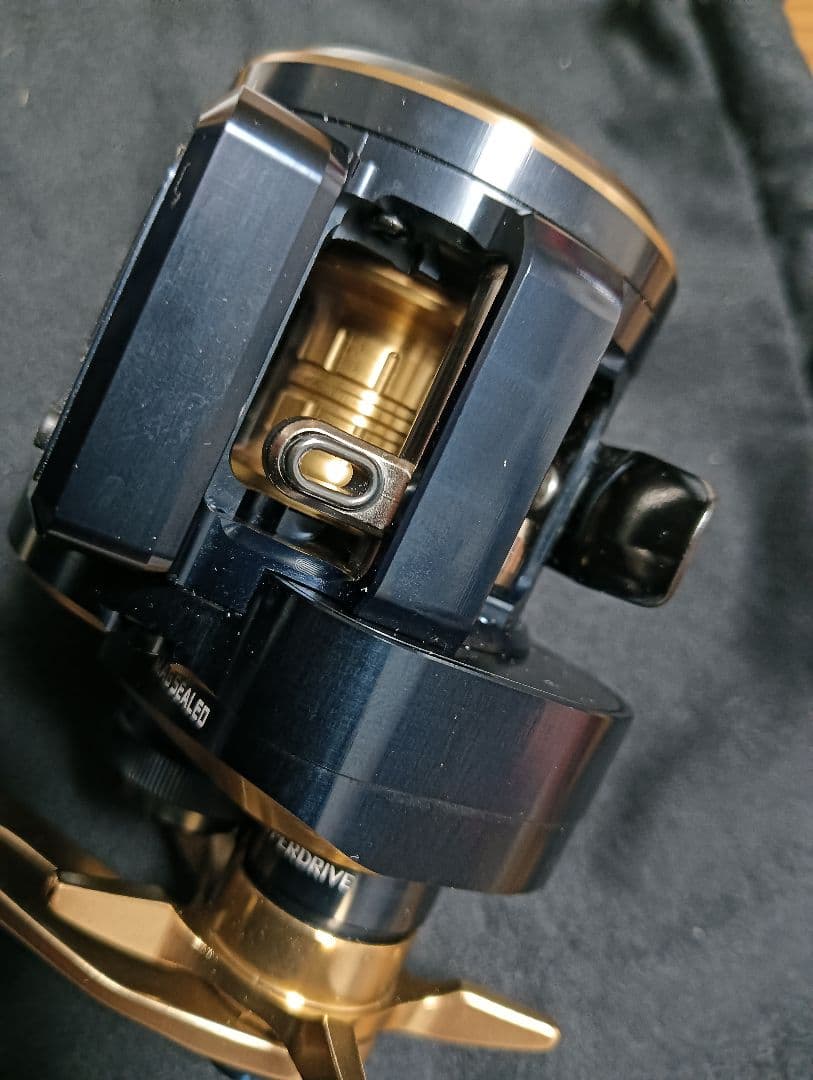 ダイワ　SALTIGA IC 100 中古